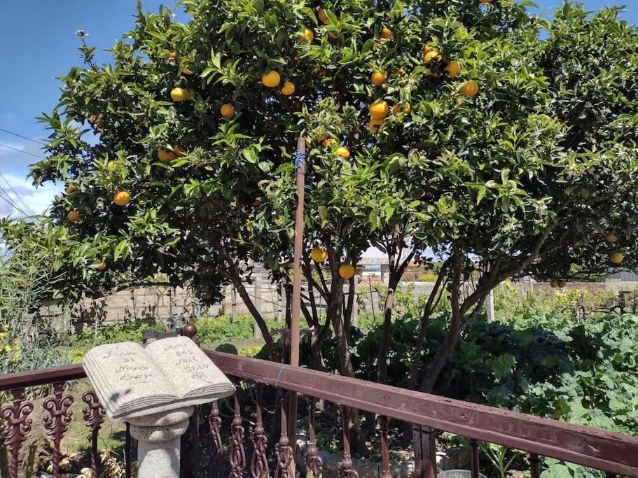 De 3 Y Un Bano Sin Cocina En San Vicente De O Grove Appartamento San Vicente do Grove