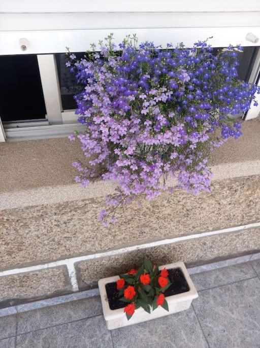 De 3 Y Un Bano Sin Cocina En San Vicente De O Grove Apartment